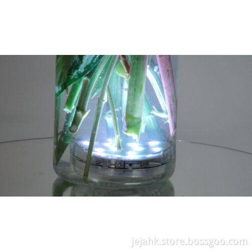 10-LED devices colored battery poerated led light, version JEJAHK_LD210_V4.0